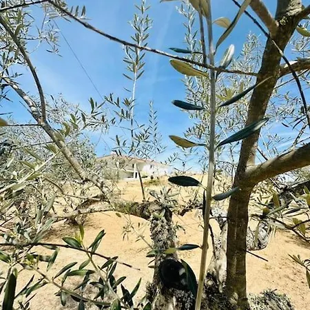 Reis House Vakantiehuis *