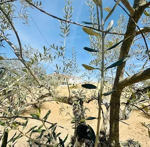 Reis House Сasa de vacaciones *